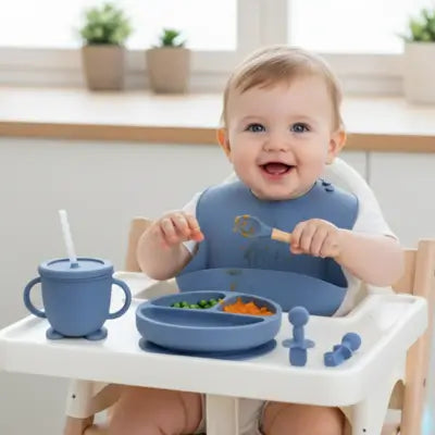 Kit de Alimentação de Silicone para Bebê: Conjunto Completo com 6 Peças